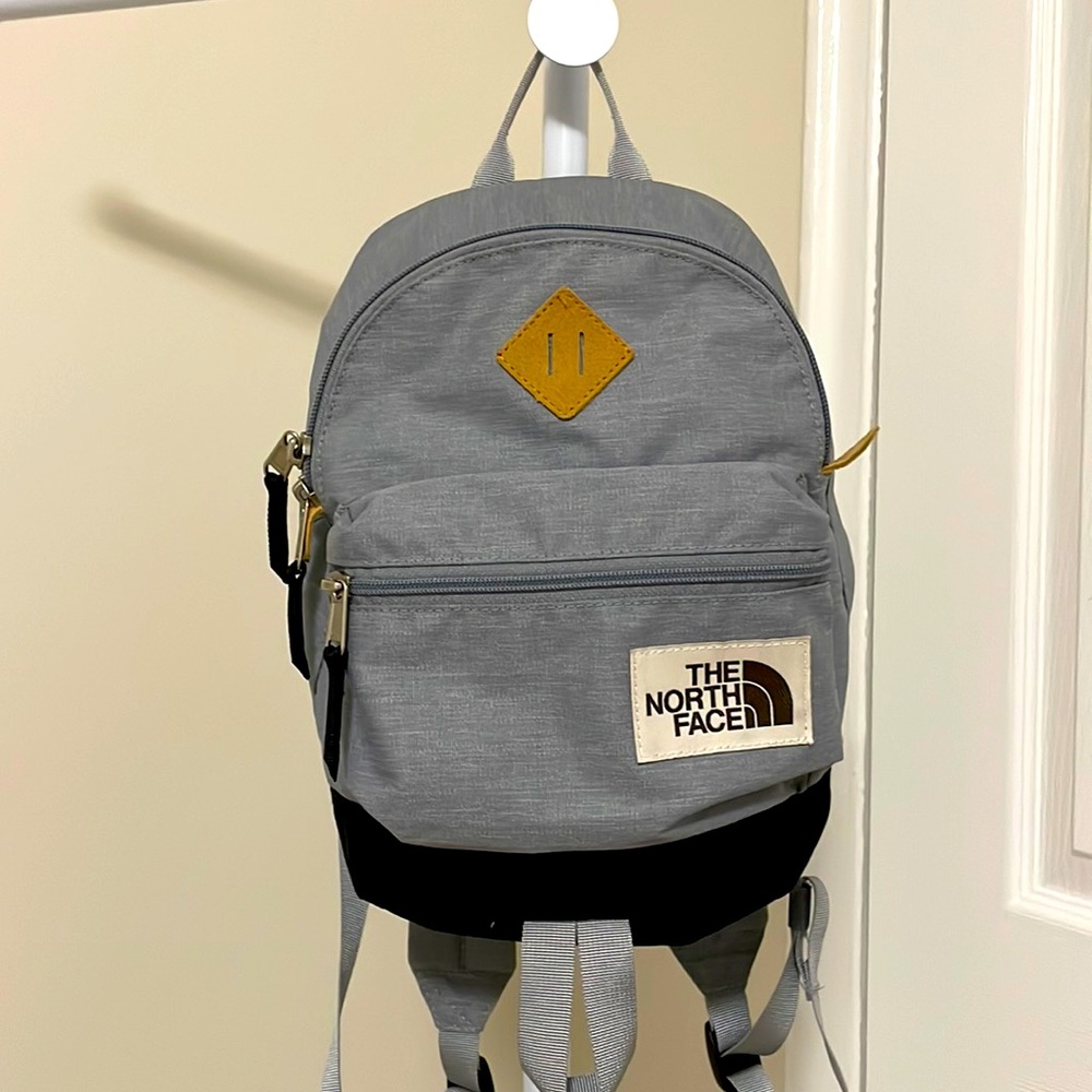 Gray Mini North Face Backpack